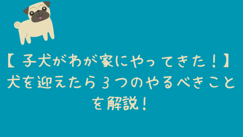 【子犬がわが家にやってきた！】犬を迎えたら３つのやるべきことを解説！ 